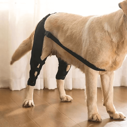 Hind Hero Brace - Support for Active & Aging Dogs