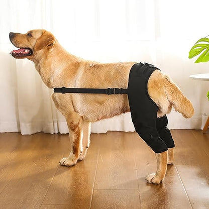 Hind Hero Brace - Support for Active & Aging Dogs