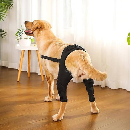 Hind Hero Brace - Support for Active & Aging Dogs