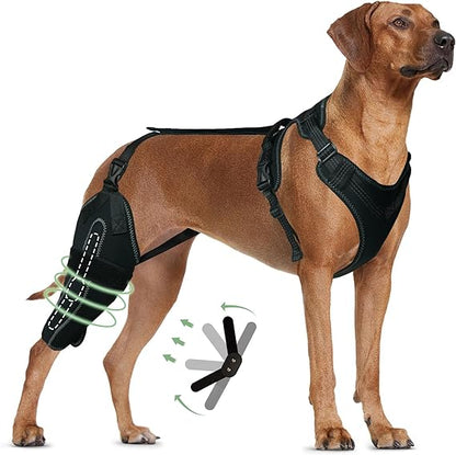 Hind Hero Brace - Support for Active & Aging Dogs