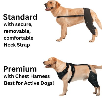 Hind Hero Brace - Support for Active & Aging Dogs