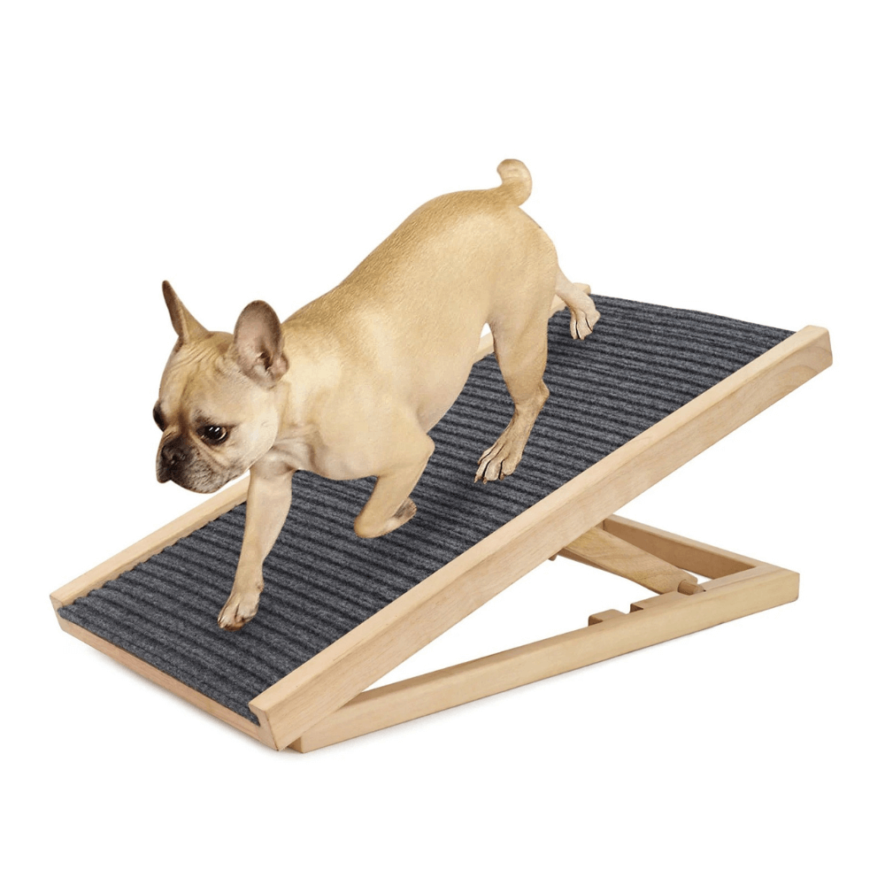 Paw Ramp - Mobility for Senior Dogs