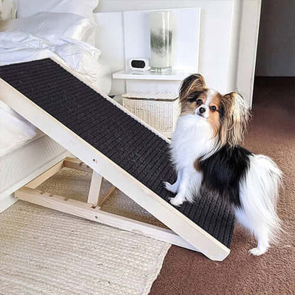 Paw Ramp - Mobility for Senior Dogs