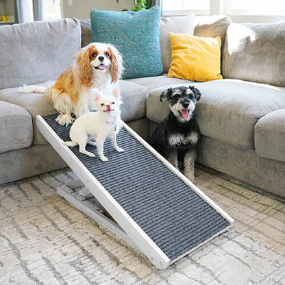 Paw Ramp - Mobility for Senior Dogs