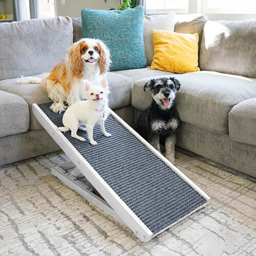 Paw Ramp - Mobility for Senior Dogs