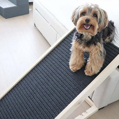 Paw Ramp - Mobility for Senior Dogs