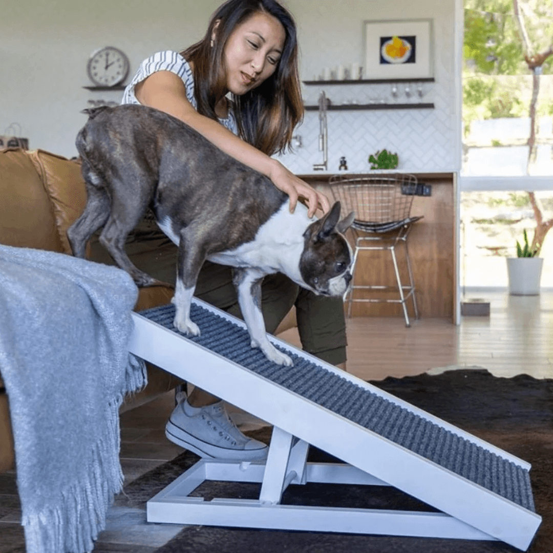 Paw Ramp - Mobility for Senior Dogs