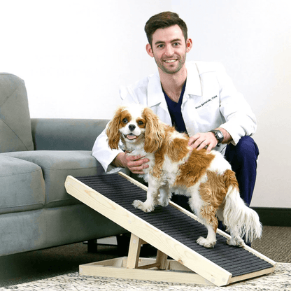 Paw Ramp - Mobility for Senior Dogs