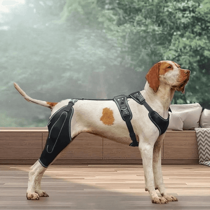 Hind Hero Brace - Support for Active & Aging Dogs