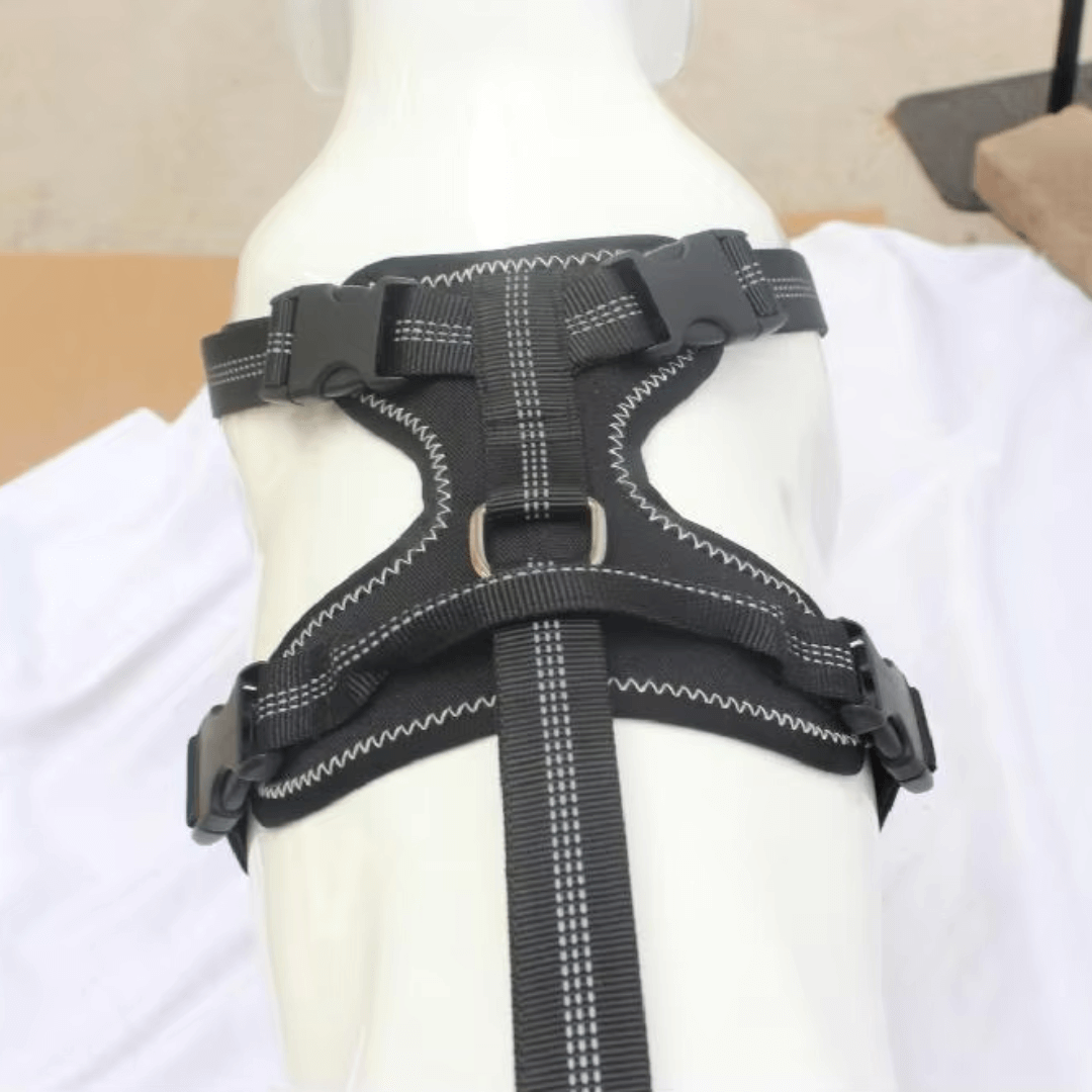 Hind Hero Brace - Support for Active & Aging Dogs