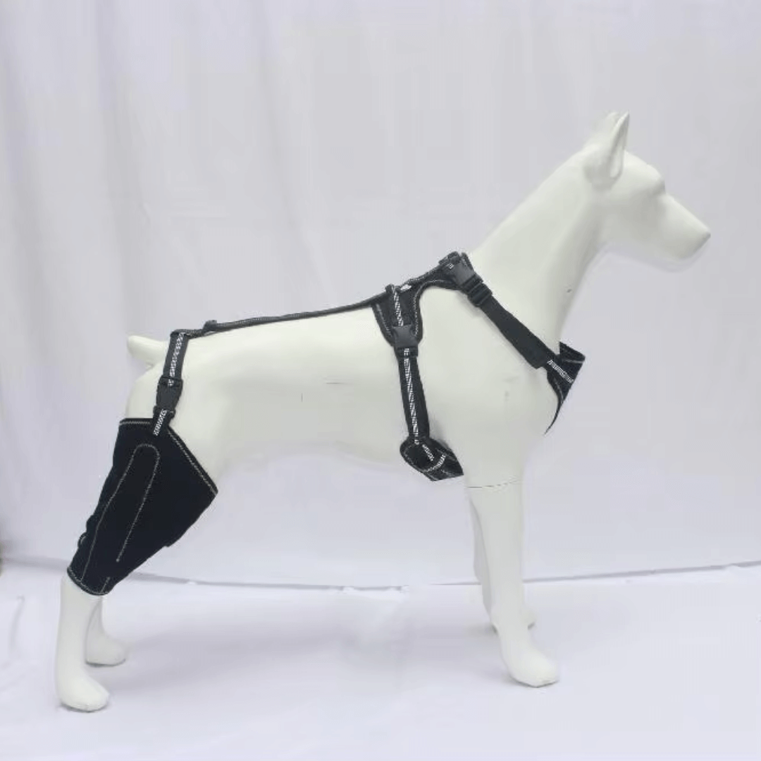 Hind Hero Brace - Support for Active & Aging Dogs