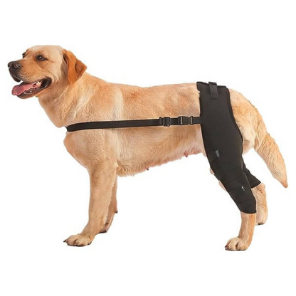 Hind Hero Brace - Support for Active & Aging Dogs