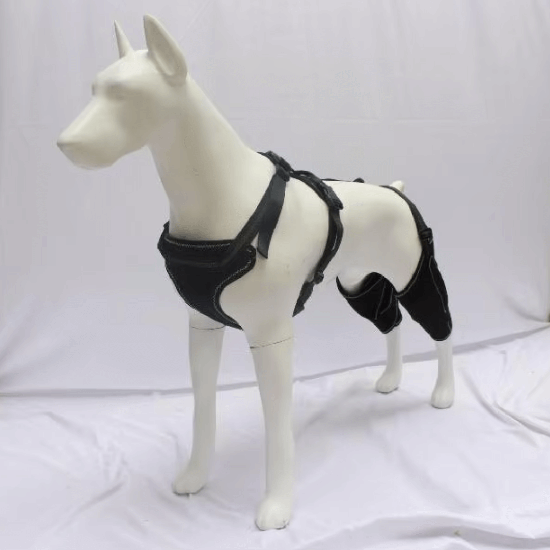 Hind Hero Brace - Support for Active & Aging Dogs