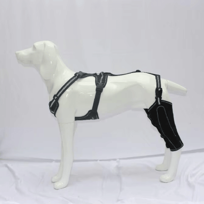 Hind Hero Brace - Support for Active & Aging Dogs