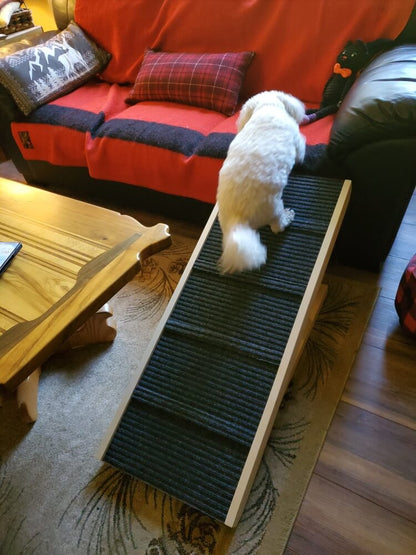 Paw Ramp - Mobility for Senior Dogs