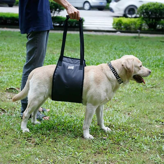 Senior Dog Sling - Gentle Assistance for Aging & Recovering Dogs