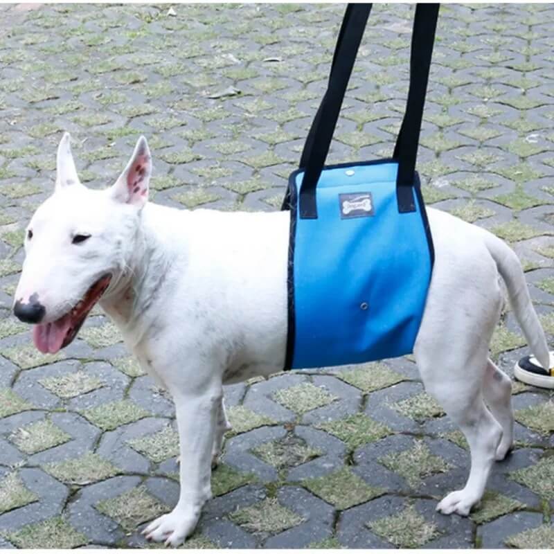 Senior Dog Sling - Gentle Assistance for Aging & Recovering Dogs