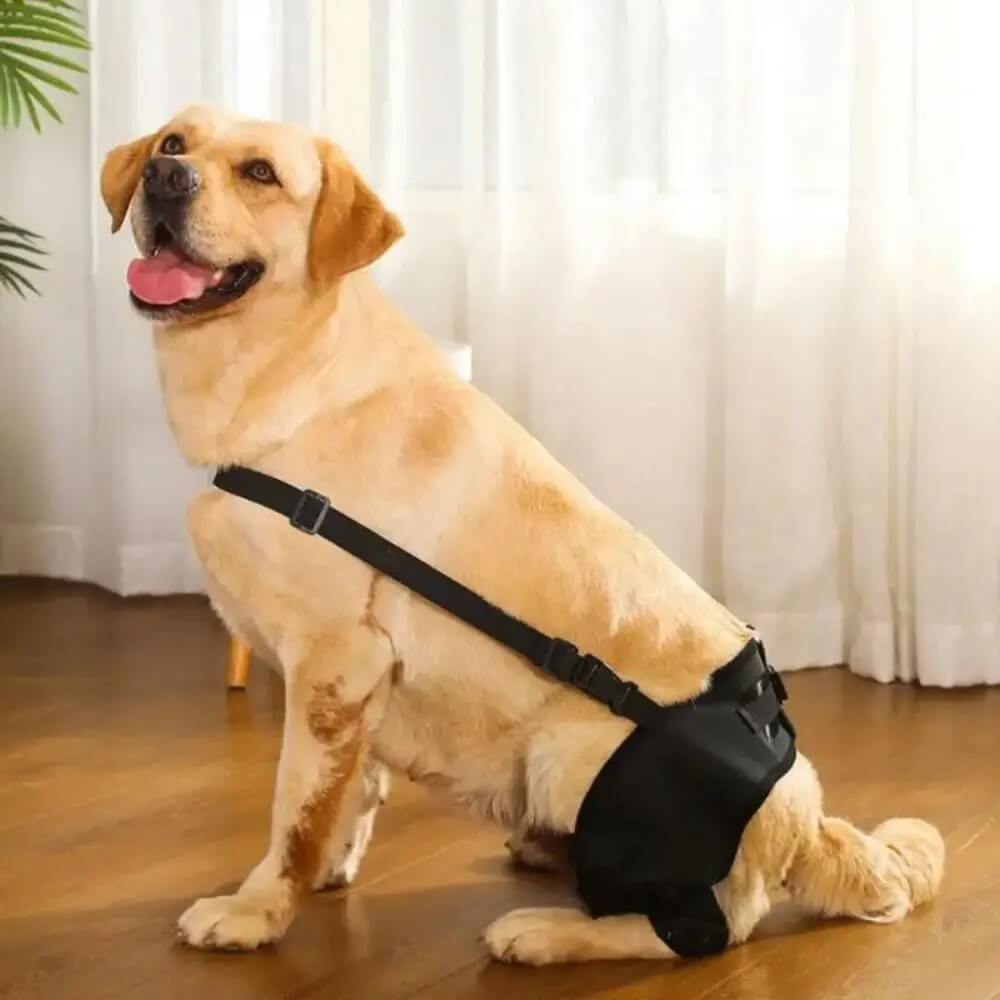 Hind Hero Brace - Support for Active & Aging Dogs