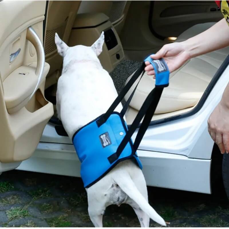 Senior Dog Sling - Gentle Assistance for Aging & Recovering Dogs