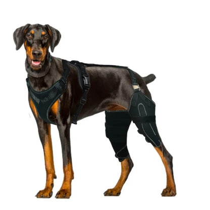 Hind Hero Brace - Support for Active & Aging Dogs