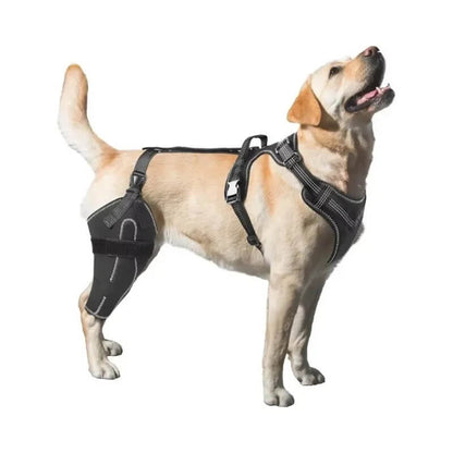 Hind Hero Brace - Support for Active & Aging Dogs